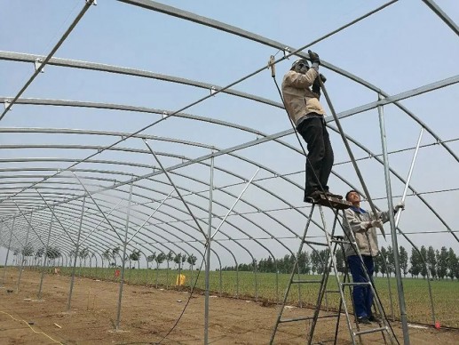 薄膜温室案例