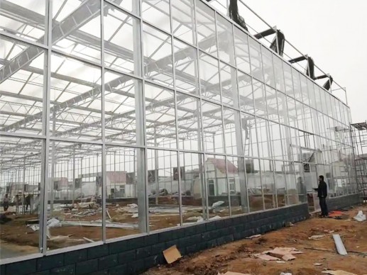 玻璃温室案例