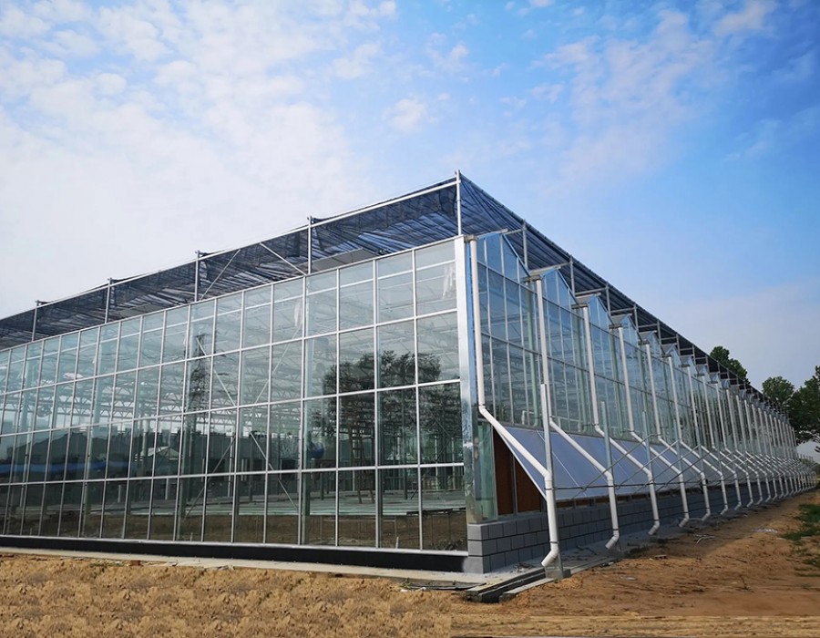 玻璃温室
