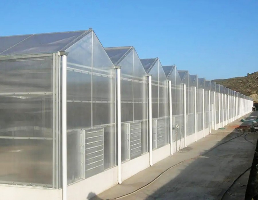 阳光板温室