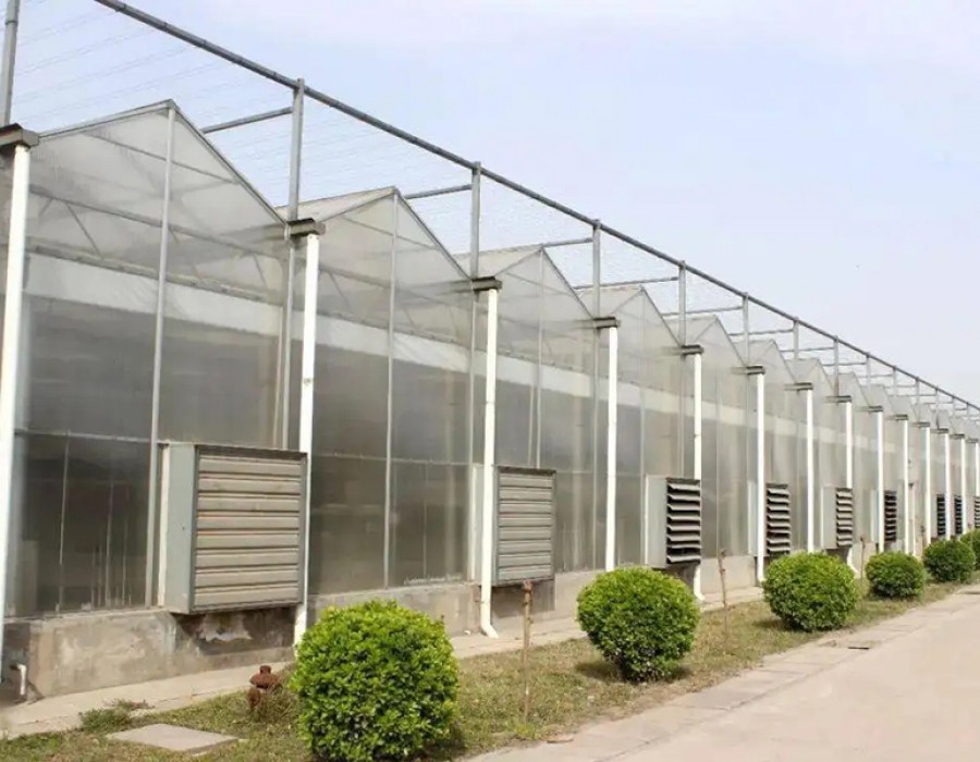 阳光板温室