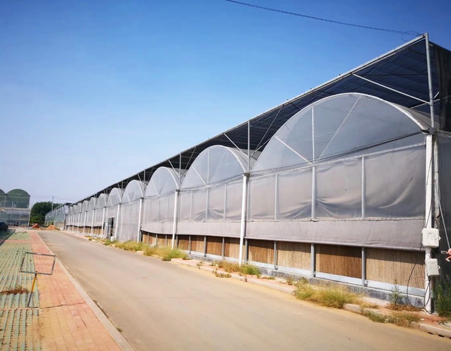 连栋温室
