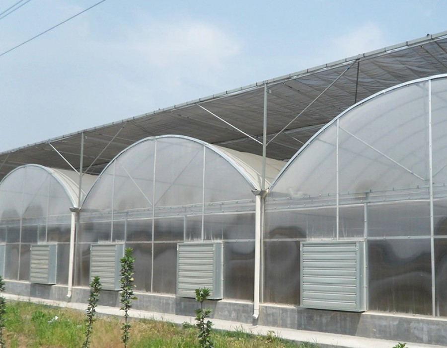 连栋温室