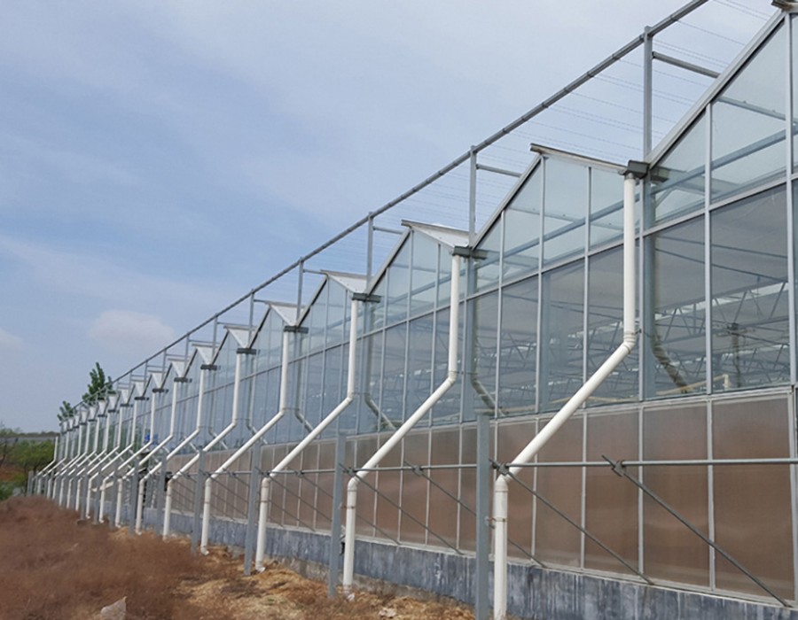 阳光板温室