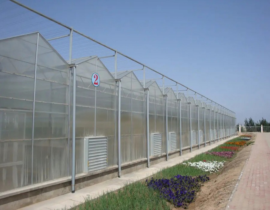 阳光板温室