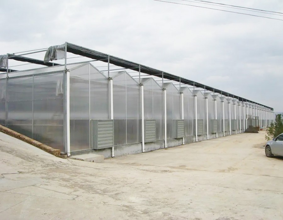 阳光板温室